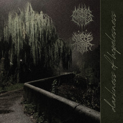 darkness of hopelessness (Ft. NiceTrip)