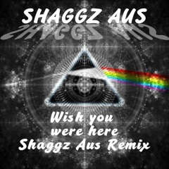 Pink Floyd Wish You Were Here Shaggz Remix