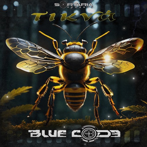 Blue Cod3-Tikva.wav