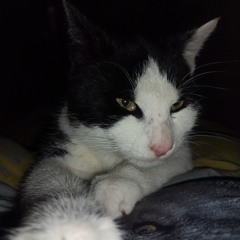 Erin Jeary - Anything .m4a