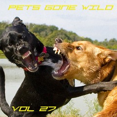 Podcast Pets Gone Wild