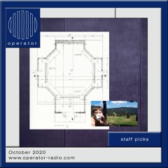 Staff Picks - October 2020