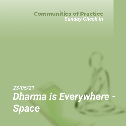 Dharma is Everywhere - Space