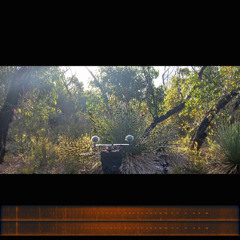 2024.12.09 Rain and Fan-tailed Cuckoo. Western River. Early Summer.