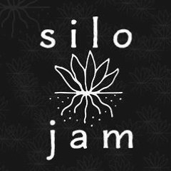 Silo Moments - dub - Live Jam