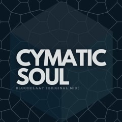 Cymatic Soul - Bloodclart (Original Mix)