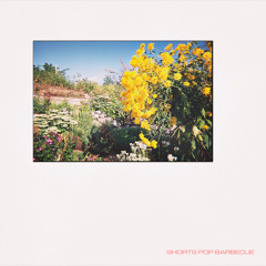 Living for the Summer