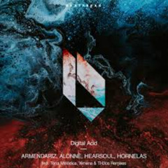 Armendariz, Hearsoul, Hornelass - Digital Acid (Terra Melodica Remix)