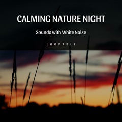 Loopable - Early Evening Ambience with Frog Sound (White Noise)
