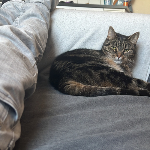 สไมล์ของเธอทำให้ปมละลาย (รีมิกส์)