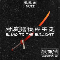 Blind to the Bullshit Freestyle'