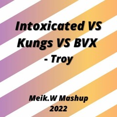 Intoxicated - Kungs - BVX - Troy (Meik.W Mashup) 2K22