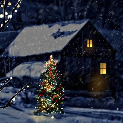 Snowy Nights