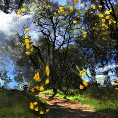 Mikey - Kids (BOMO 004)