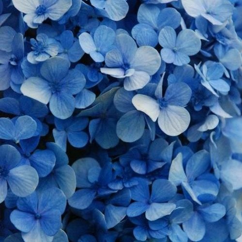 시간이 지나면(feat.YUMIN)