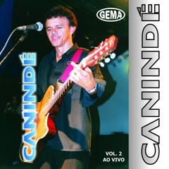 Admirável Gado Novo (Ao Vivo)