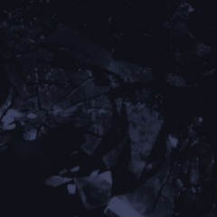 Bassotto - Maleficence