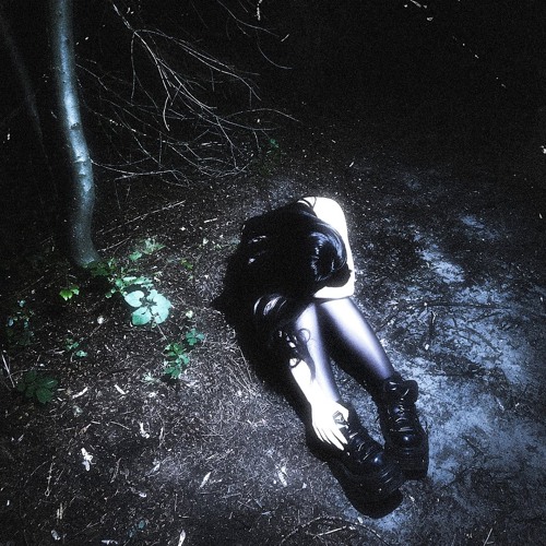 VNXIOUS - Orchid