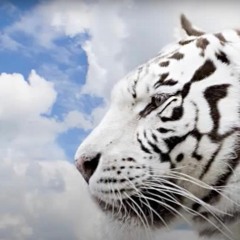SONG FOR A BEAST Ian Parker