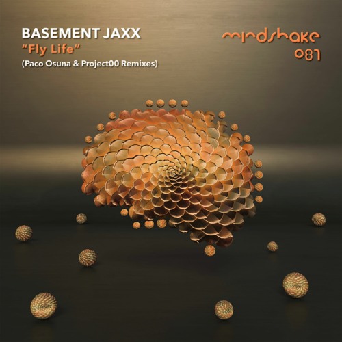 Premiere: Basement Jaxx - Fly Life (Paco Osuna Remix)