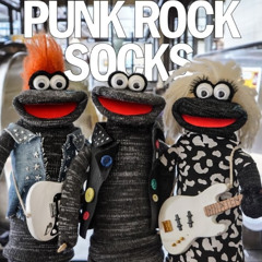 Benny Asking People Questions - Punk Rock Socks