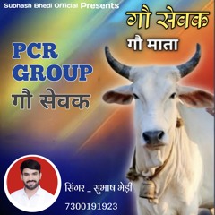PCR GROUP GAO SEVAK