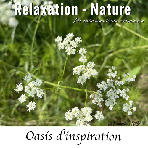 Oasis d'inspiration