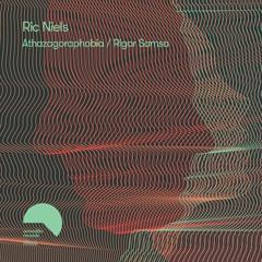 Premiere: Ric Niels - Athazagoraphobia [Armadillo]