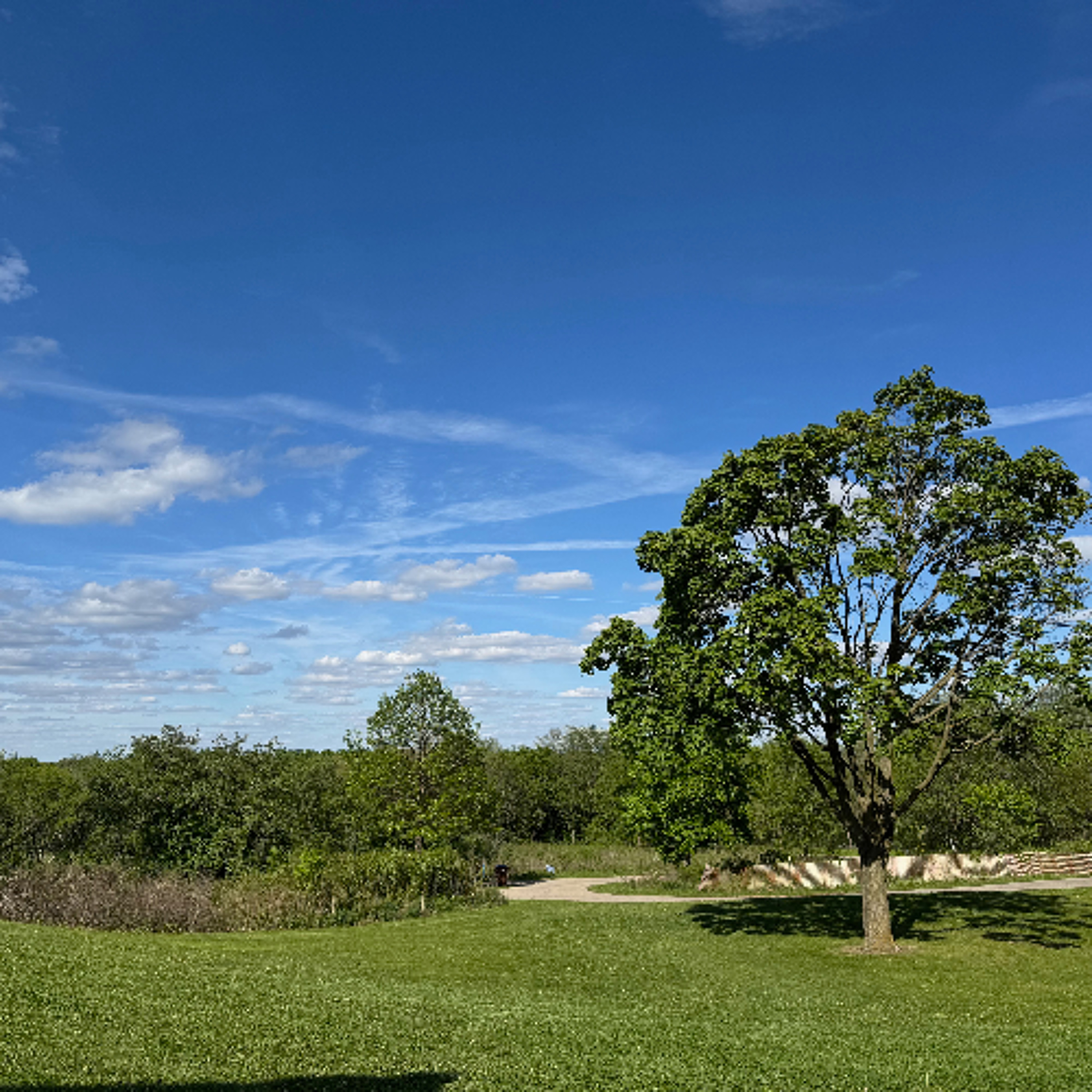 Forecast from Wednesday 6-3-26