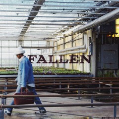 Fallen