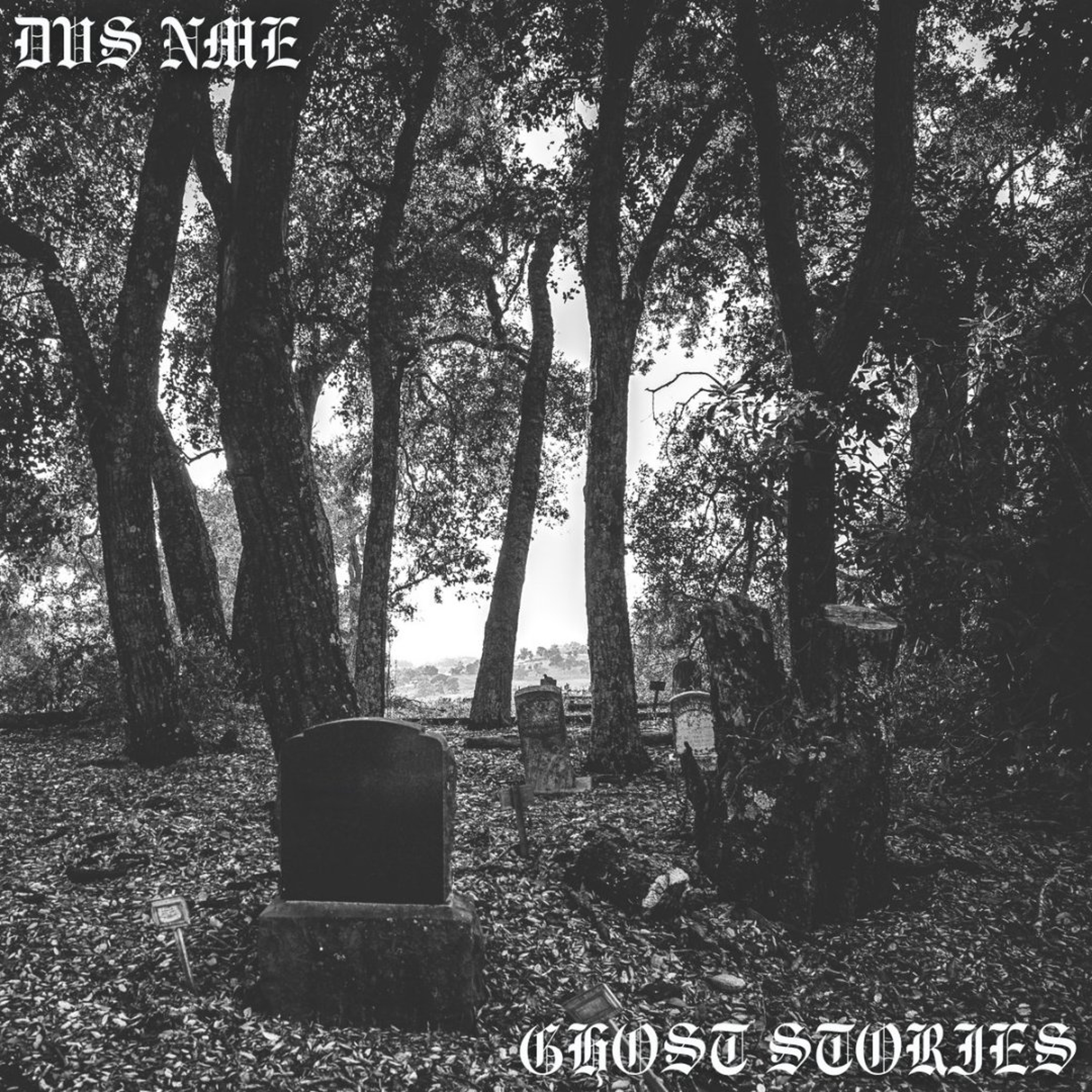 DVS NME - Schreckenslücke episode artwork