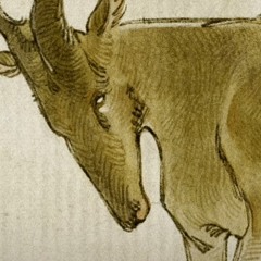 Hartebeest part 1 lark-hersals —Yaelokre