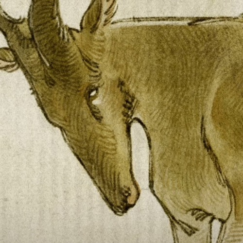 Hartebeest part 1 lark-hersals —Yaelokre