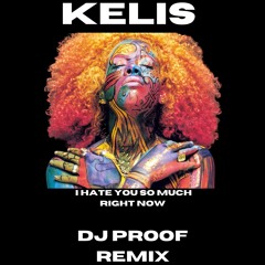 Kelis - I Hate You So Much Right Now (DJ PROOF REMIX)
