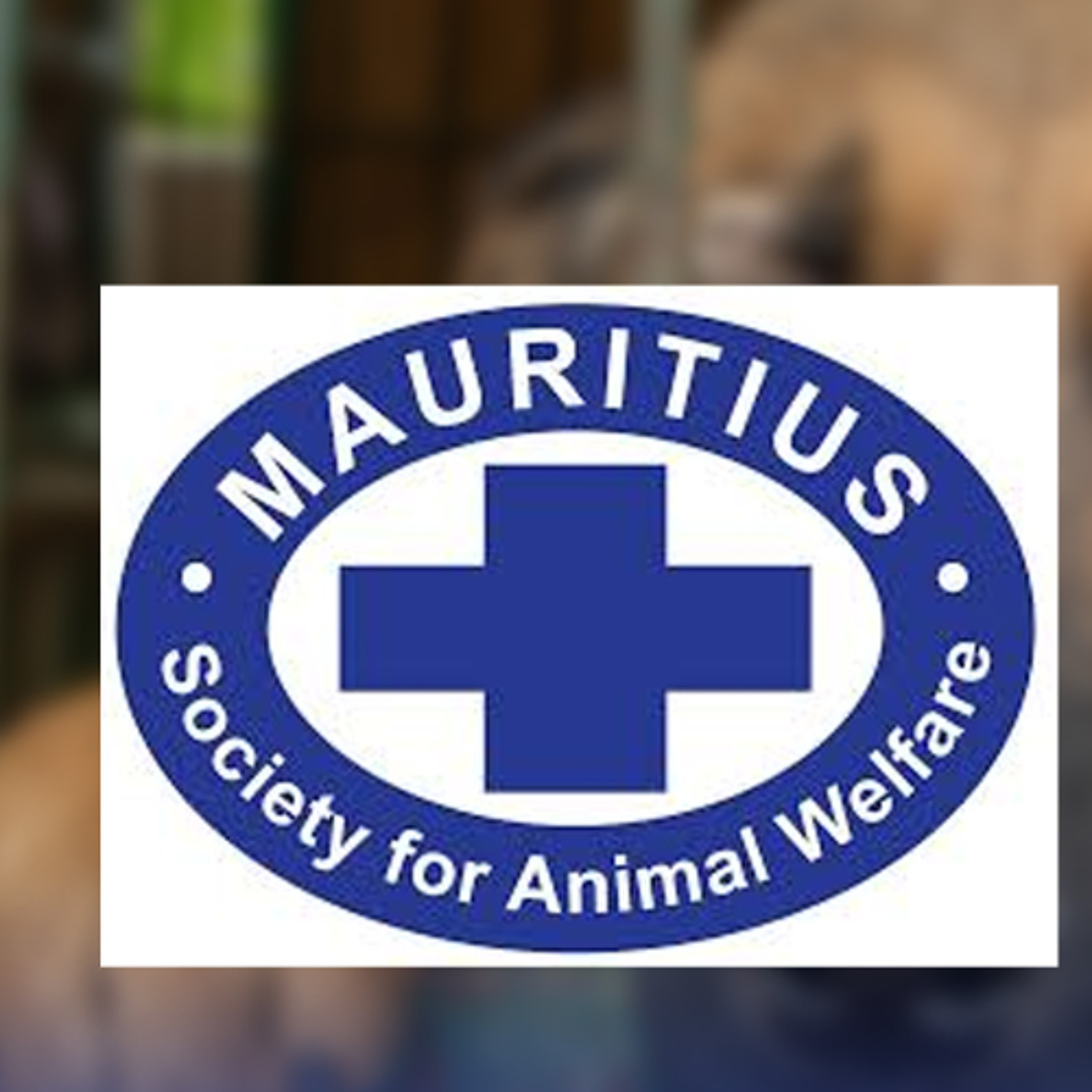 Soupçons de maltraitance animale : la MSAW intervient à Quartier Militaire