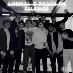 ANIMAL X PEACE IN SILENCE