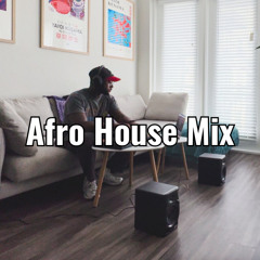 Afro House & Afrobeats DJ Mix 2025 | Dance, Sunset and Party Vibes