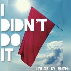 I didn’t do it