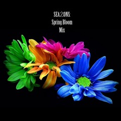 SEAŻONS: Spring Bloom Mix