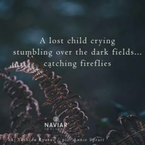 haiku #373: A lost child crying / stumbling over the dark fields… / catching fireflies