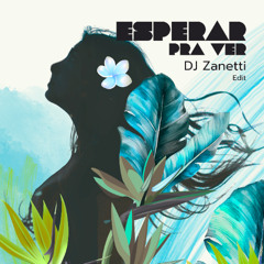 Esperar pra ver - DJ Zanetti Remix