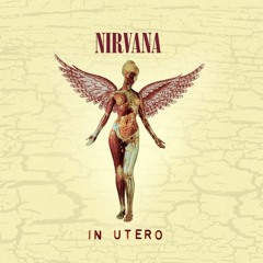 Nirvana - Heart-Shaped Box ( Vocal Cover )