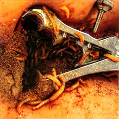 Doomcore