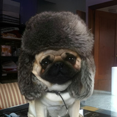 там где птицы улетают на юг (prod by wixxy)