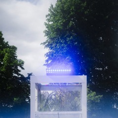 Live from the Patio - Malika