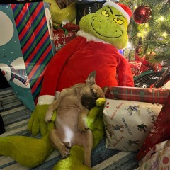 FUCK THE HOLIDAYS / FALL OUT  (prod jaysirnobre)