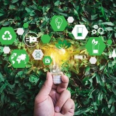 The Netzero incubator and accelerator: A means of starting a future enterprise that will be sustaina