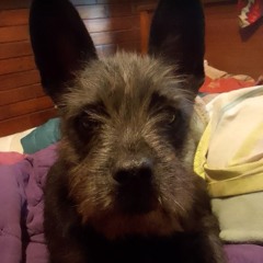 La Decisión Más Hermosa