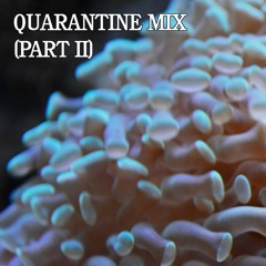 Quarantine Mix (Part II)