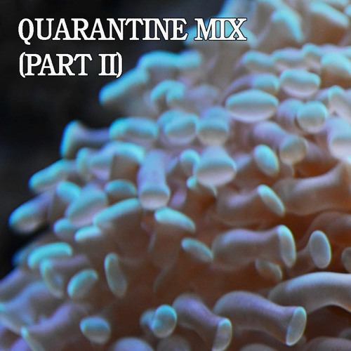 Quarantine Mix (Part II)